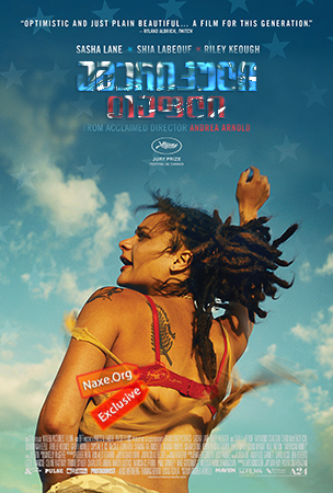 ამერიკული თაფლი (ქართულად) / American Honey /