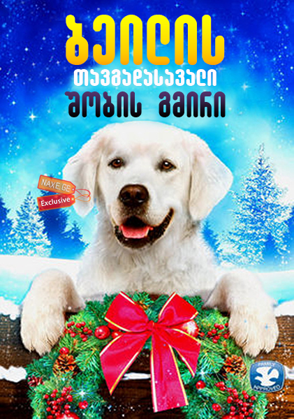 ბეილის თავგადასავალი: შობის გმირი / Adventure of