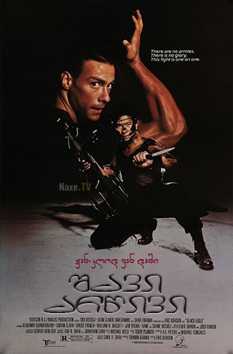 შავი არწივი / Black Eagle