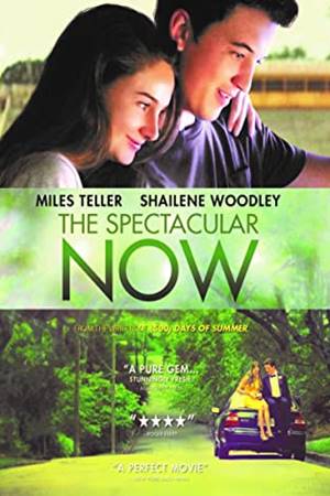 მომნუსხველი წამი (ქართულად) / The Spectacular Now