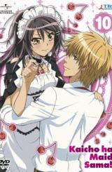 პრეზიდენტი – დამლაგებელი / Kaichou wa meido-sama!