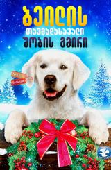 ბეილის თავგადასავალი: შობის გმირი / Adventure of