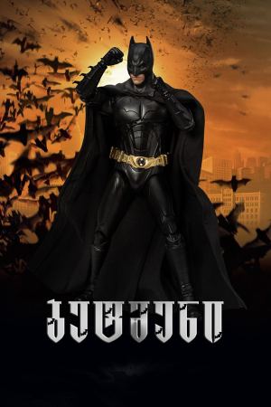 ბეტმენი / Batman Begins (შავი რაინდი)