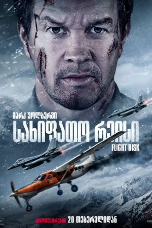 სახიფათო რეისი / Flight Risk