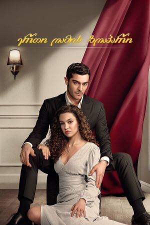 ერთი ღამის ზღაპარი / Bir Gece Masali